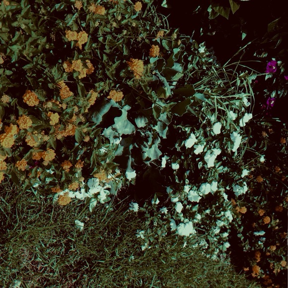 โจ New Closet ! - Picture 4 of 8